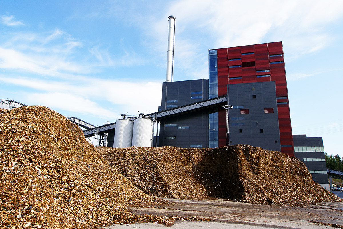 Biomass and Bio Power Plant for Bioenergy