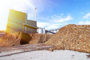 What biomass feedstocks are used to make biochar?