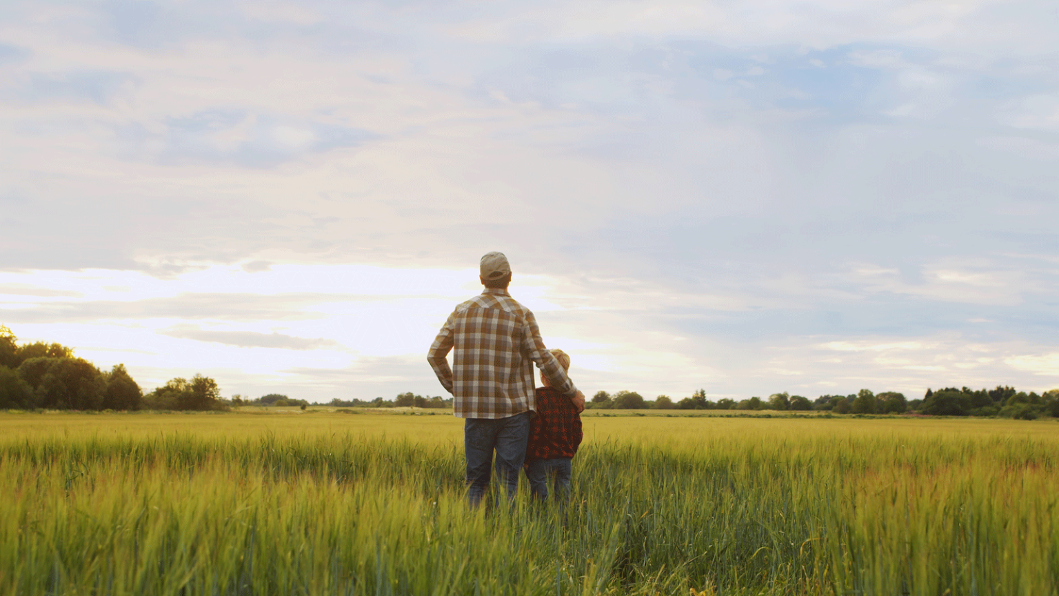 USDA Opens 2025 Enrollment for General and Continuous CRP: What ...