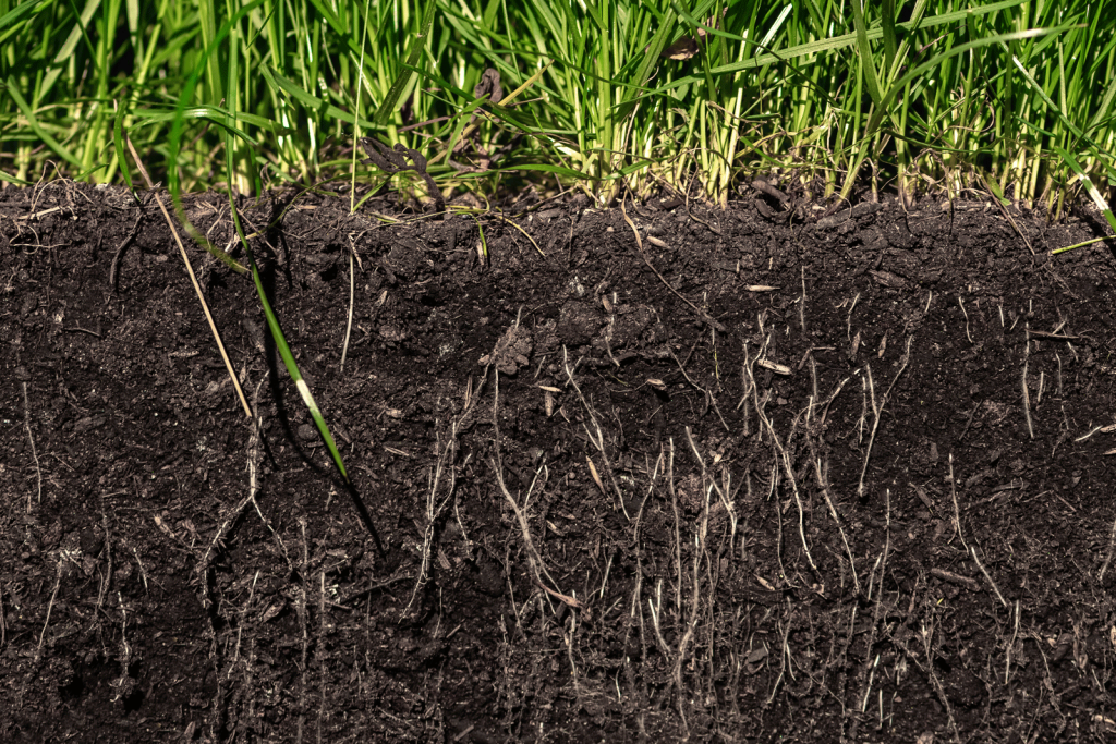 How CRP Improves Soil Health and Fertility