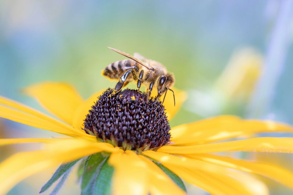 Creating the Perfect Habitat for Your CRP Project