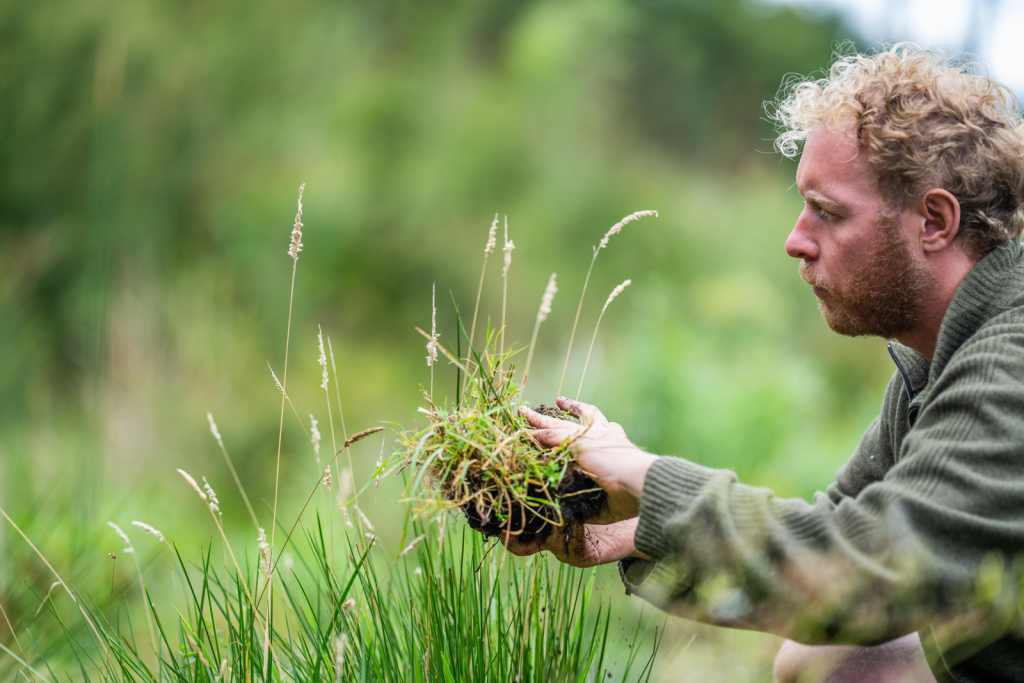 The Role of Mycorrhizal Fungi in CRP Plantings