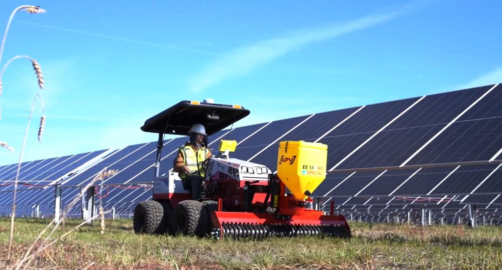 Solar Vegetation Establishment