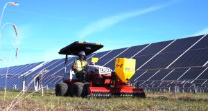 Solar Vegetation Establishment