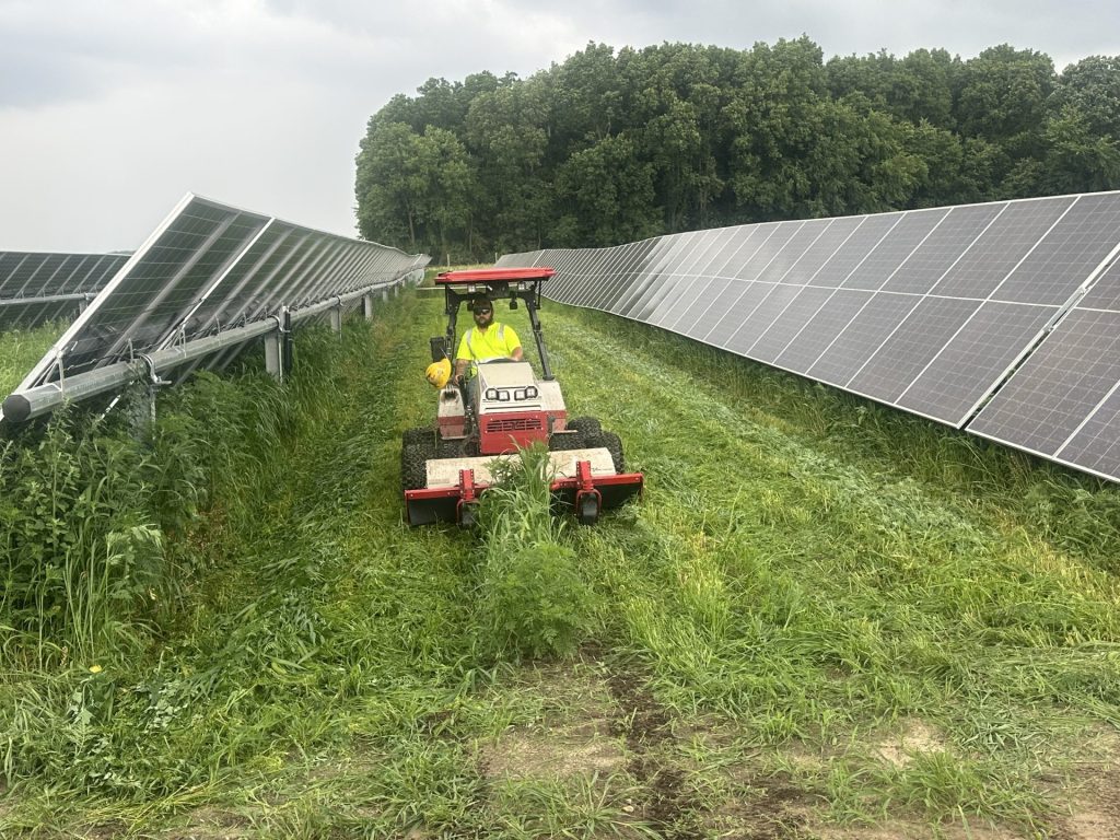 FDCE Mowing Dicing and Herbicides