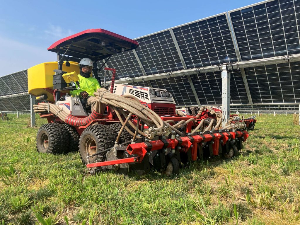 Comparing Drill Seeding vs. Broadcast Seeding for Native Grass Establishment