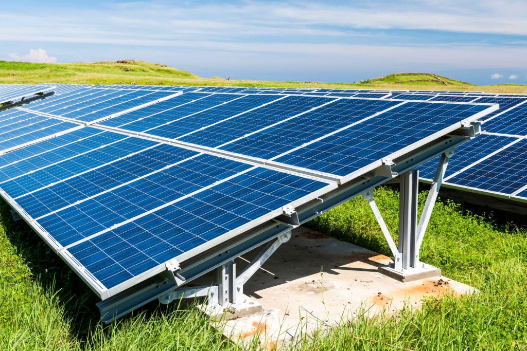 The Hidden Risks of Unmanaged Vegetation at Solar Farms