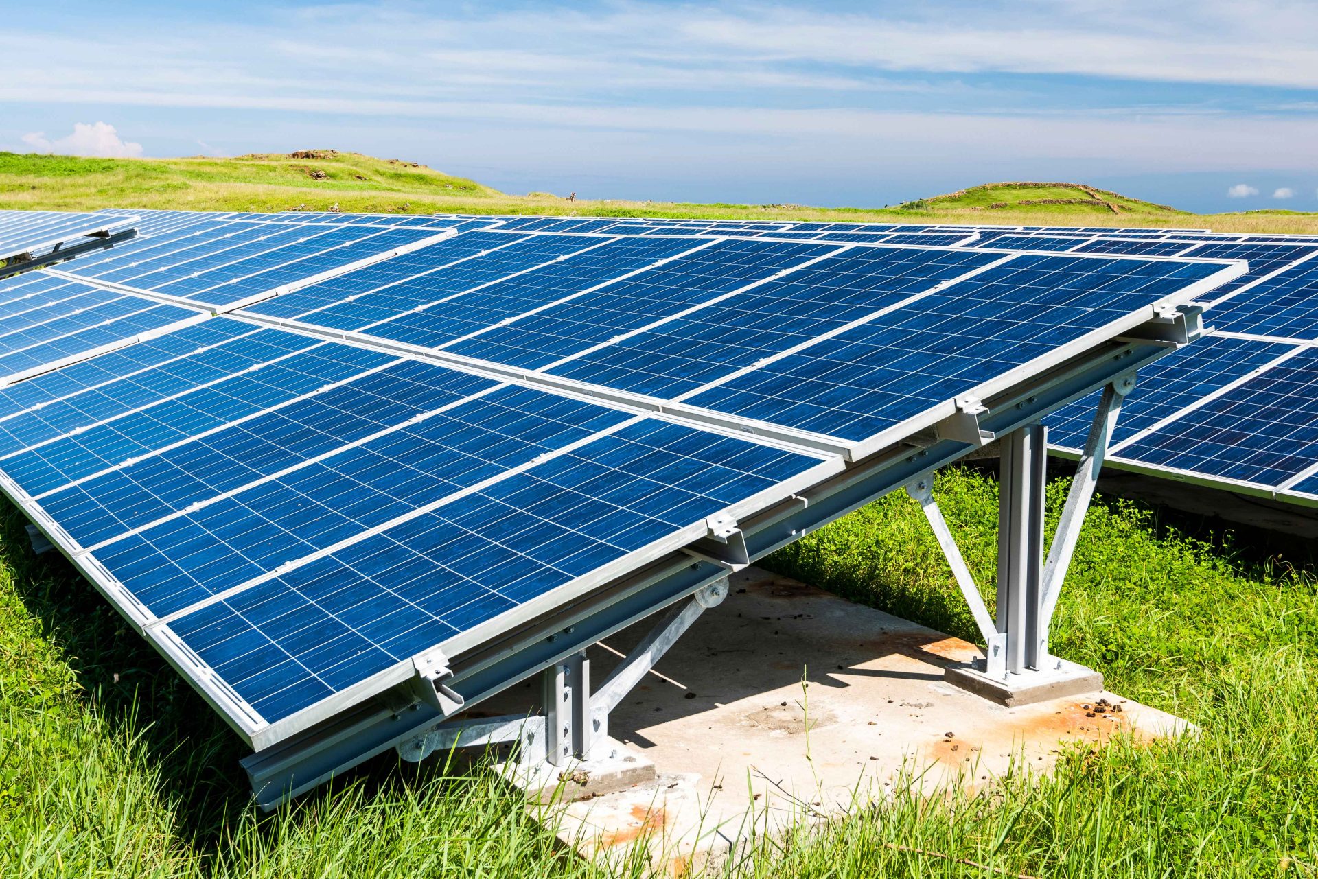 The Hidden Risks of Unmanaged Vegetation at Solar Farms