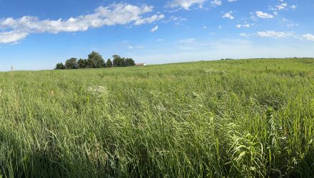 FDCE Special Project Iowa